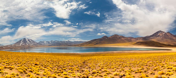 istock Miscanti Lagoon in the Atacama Desert, Chile 1318884055