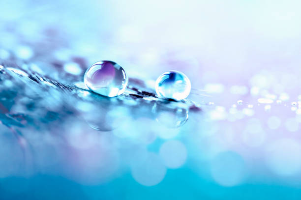 istock Drop of water on feather on mirror surface with sparkling bokeh on blue violet blurred background. 1318885210
