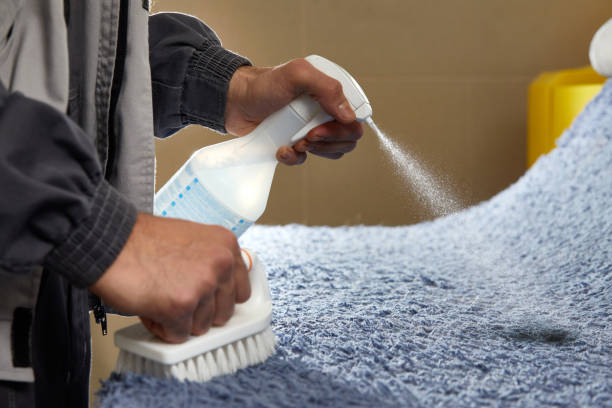 istock Man Spraying Detergent On Grey Carpet To Remove Stain in professional cleaning service 1318890343
