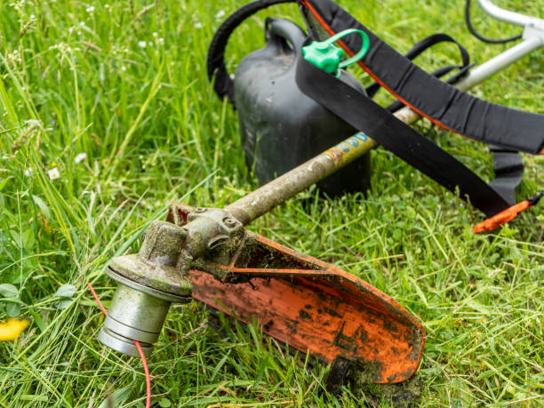 istock Brushcutter lies on a meadow 1318891716