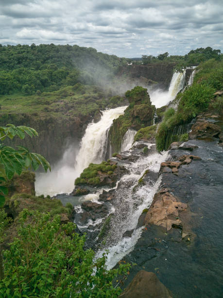 istock Great Waterfalls in the forest with mist in the backdrop 1318891864
