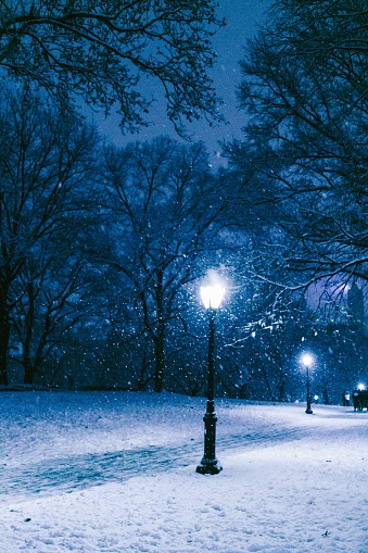 Light poles in Central Park on a snowy winter night blue skies