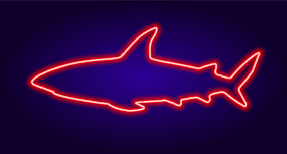 neon shark sign in red on dark blue background. isolated glow-in-the-dark neon tube in red color in the shape of a carnivorous sea fish SHARK on a dark blue background for the design template. Retro realistic banner with red neon shark on blue background.