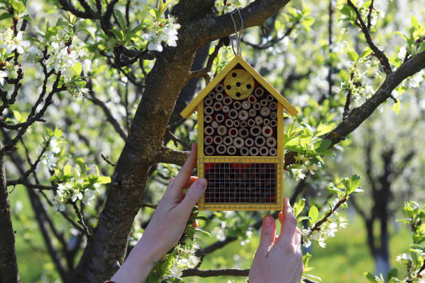 istock Small wooden insect house. 1318898305