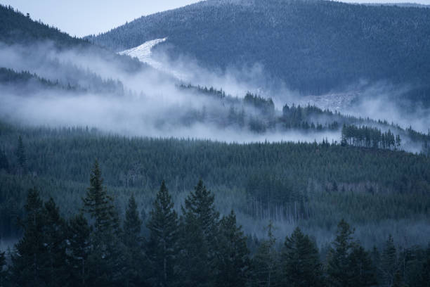 istock Foggy British Columbia Mountainside 1318898406