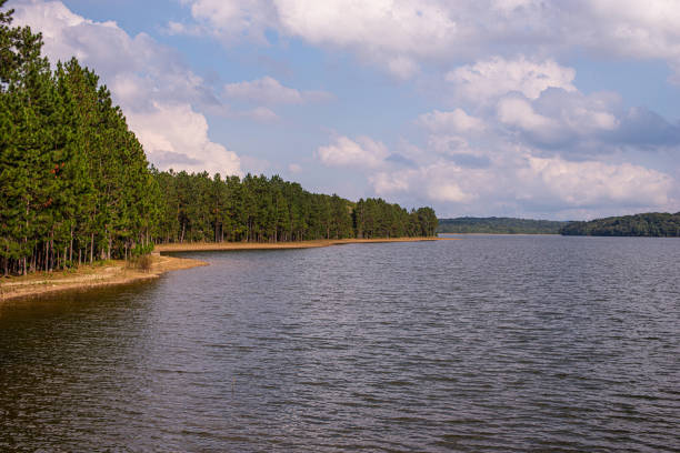 istock Pedro Beicht Dam Lake 1318898631