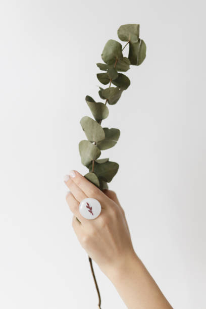 istock Stylish modern white round ring on beautiful hand with eucalyptus branch on white background 1318900291