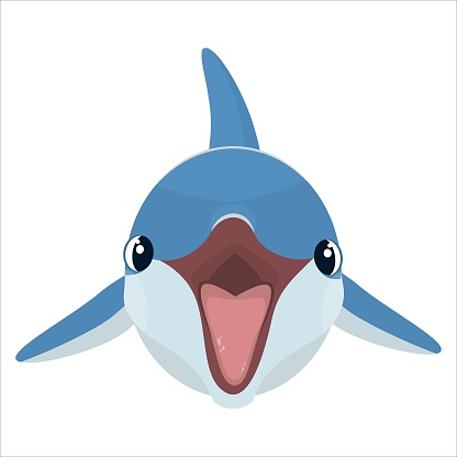 vector illustration of a dolphin isolated on a white background