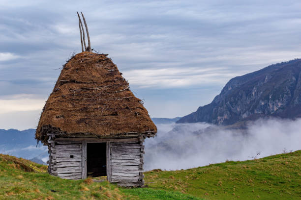 Dumesti, Romania