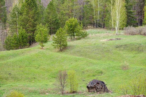 istock a small sprawling hut on a green field among the trees 1318902605