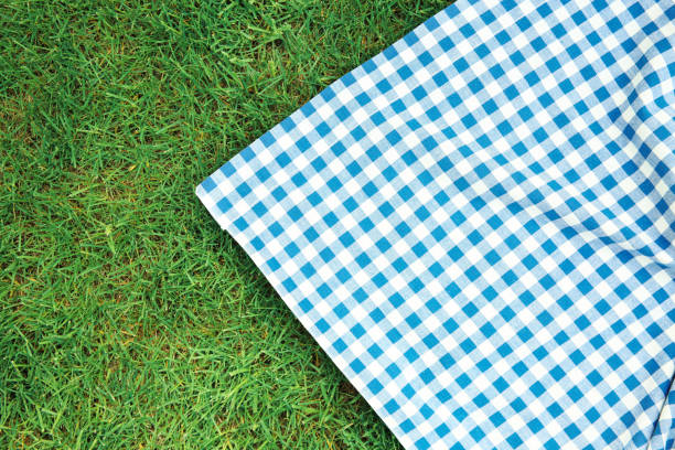 istock Blue checkered picnic cloth on green grass top view. Checkered towel country design backdrop. Food advertisement display 1318902952