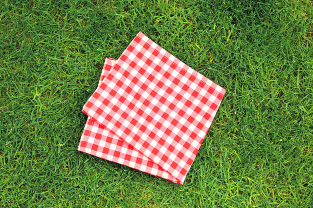 istock Red picnic folded towel on green grass top view, checked cloth flat lay. Food advertisement display. 1318902976