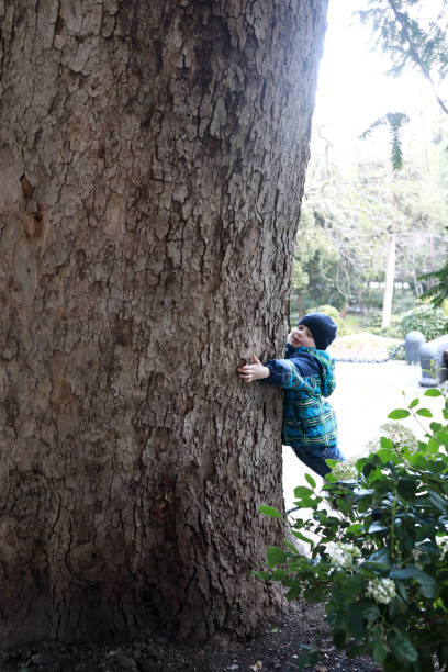 istock Boy hugging sycamore tree in Gurzuf park 1318903313