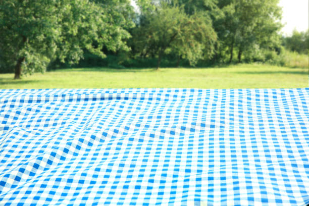 Blue checkered blanket on grass field natural background. Food advertisement display. Picnic cloth lying down outdoors.