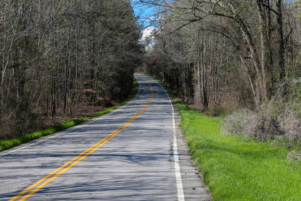 istock curving single lane tree lined road lane with casting shadows in bright sunlight 1318906891