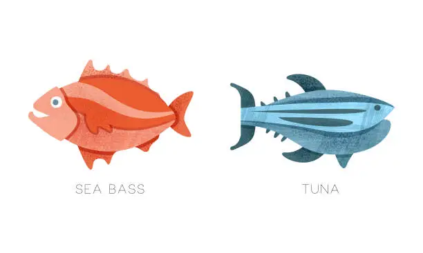 Vector illustration of Sea Ocean Fishes Set, Sea Buss, Tuna Fish Flat Vector Illustration