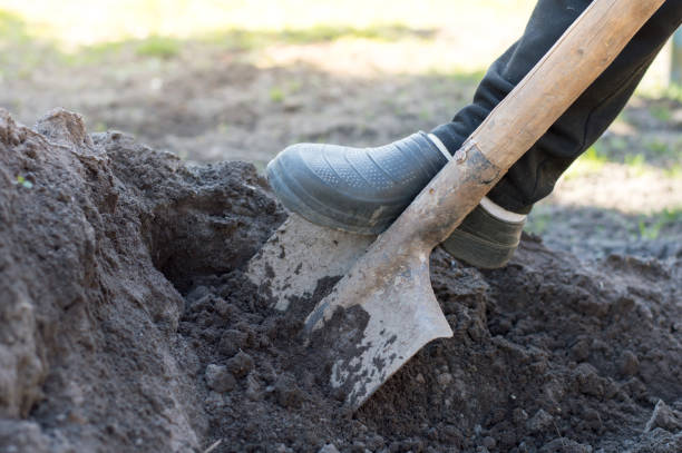 istock preparing vegetable bed with spade for planting 1318907017