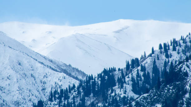 istock Snow and pine trees one after another on the mountain ranges under the blue sky 1318912966