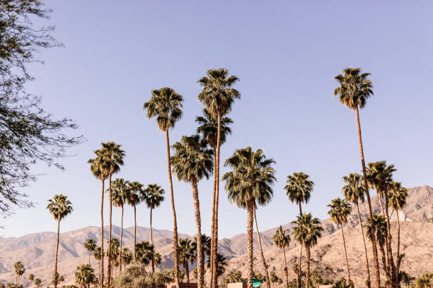 istock Palm Springs SkyScape 1318913070