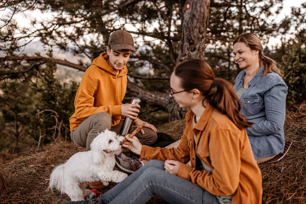 istock Always happy with our pet 1318913165