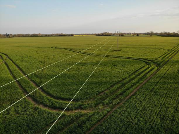 postes telegráficos en el campo - poste telegráfico fotografías e imágenes de stock