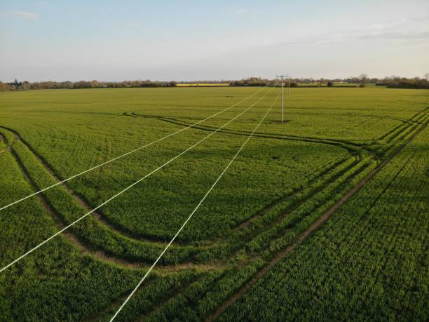 istock Telegraph poles in field 1318913907