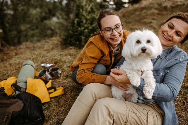 istock We love to play together 1318914296
