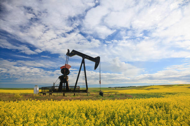 istock Oil Pumpjack in Alberta 1318915626