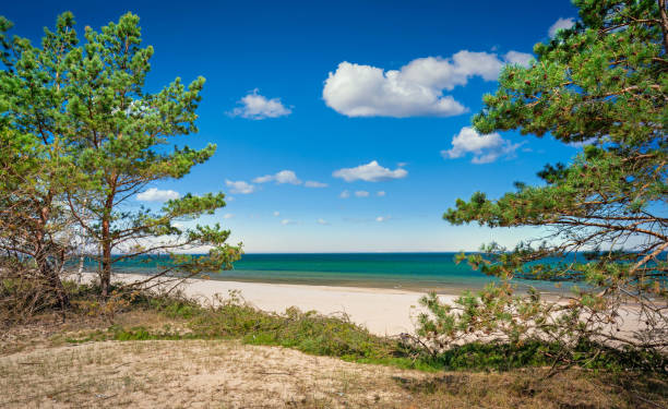 istock Baltic Sea beach at summer in Sobieszewo 1318916677