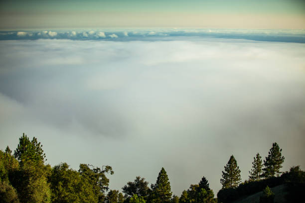 istock Thick Fog in Big Sur 1318916696