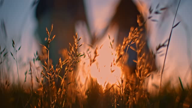 Slow motion shot of an unrecognizable mother and her young daughter holding hands while walking in high grass in the middle of a meadow at sunset. Focus on grass and wildflowers swaying in the wind.