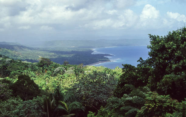 montagnes et forêt dans la sierra maestra, célèbre dans l’histoire de la révolution cubaine. - baracoa photos et images de collection