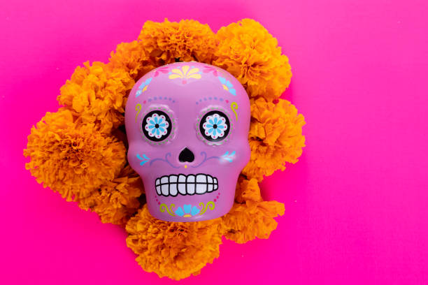 istock typical Mexican skull and cempazuchitl flowers on white background. 1318928061