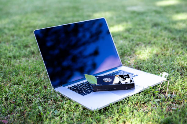 istock Laptop and a hard disk drive with a chia leaf on the grass 1318933777