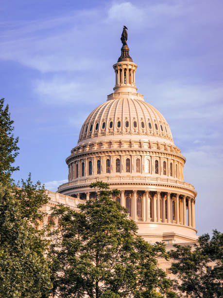 istock US Capitol Building at Sunset 1318934928