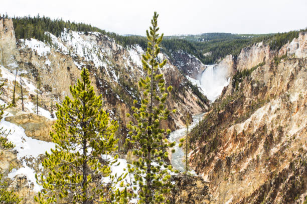 gran cañón nevado de yellowstone - idaho waterfall natural landmark extreme terrain fotografías e imágenes de stock