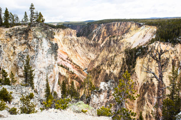 gran cañón nevado de yellowstone - idaho waterfall natural landmark extreme terrain fotografías e imágenes de stock