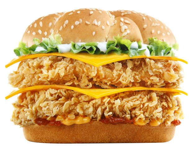 istock Shots of different Burger sandwiches styles 1318936305