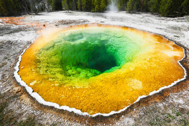 Geysers and Hot Springs at Yellowstone Geysers and Hot Springs at Yellowstone May 2021 norris geyser basin photos stock pictures, royalty-free photos & images