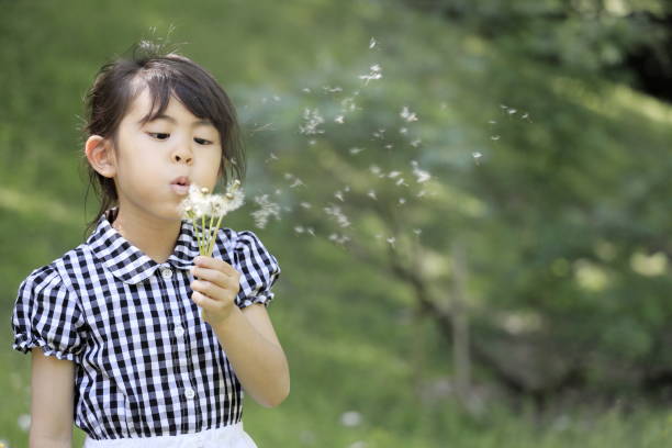 istock Japanese student girl blowing dandelion seeds (6 years old) 1318941242