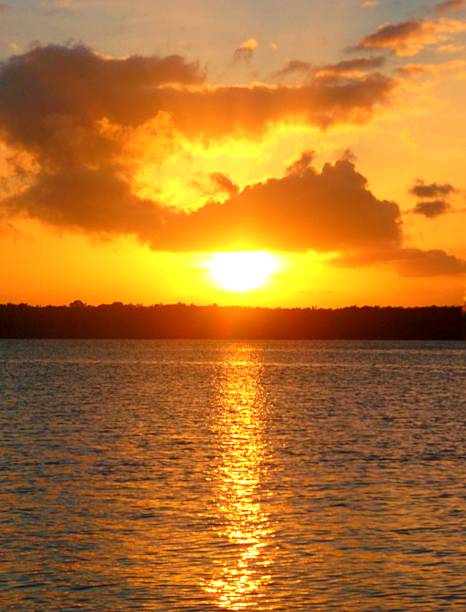 Golden Sunset One of the most beautiful sunsets I have ever seen. Cabedelo, Paraiba, Brazil. paraiba photos stock pictures, royalty-free photos & images