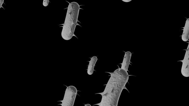 Cre Microbe 70+ Bacteria Cre Stock Videos and Royalty-Free Footage - iStock