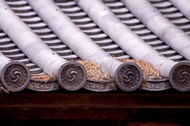 istock Interesting architecture with Asian influence. This one is traditional Japanese architecture. 1318943403