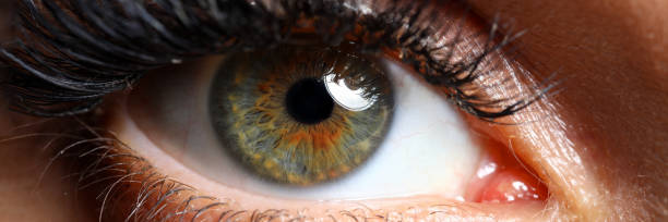 istock Beautiful female green colored right eye 1318946347