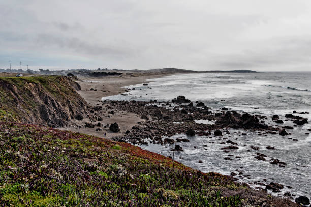 istock Edge of Pacific Ocean near Bodega Bay 1318949212