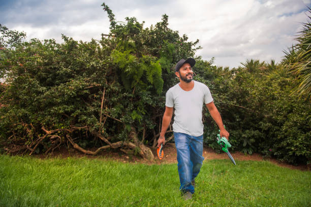 istock latin man working in gardening 1318958740