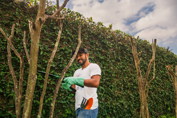 istock latin man working in gardening 1318958752