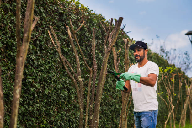 istock latin man working in gardening 1318958753