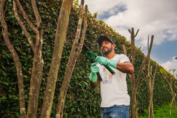 istock latin man working in gardening 1318958762