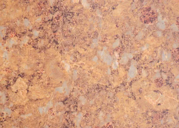 Photo of Orange agate, delgo cobweb pattern and burgundy color on the surface of natural stone.